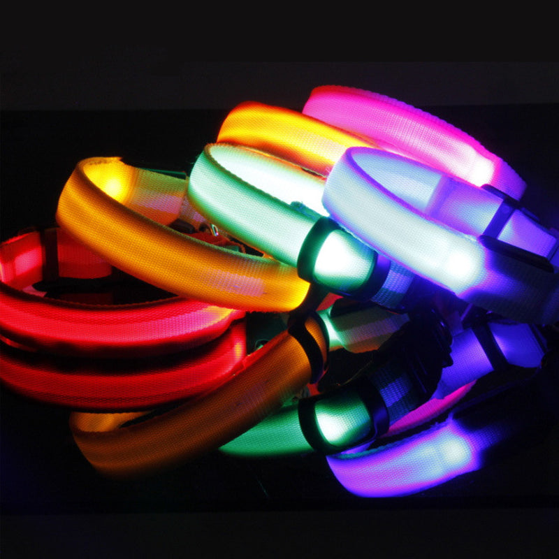 🐶 LED Safety Dog Collar – Don't Let Darkness Put Your Pet at Risk! 🌙