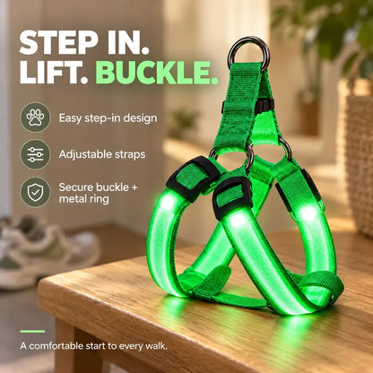 🐕 Rechargeable LED Dog Walking Kit ✨ Light-Up Harness, Collar & Leash for Safer Night Walks
