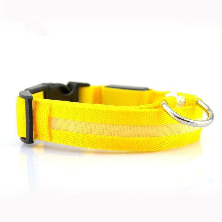 🐶 LED Safety Dog Collar – Don't Let Darkness Put Your Pet at Risk! 🌙