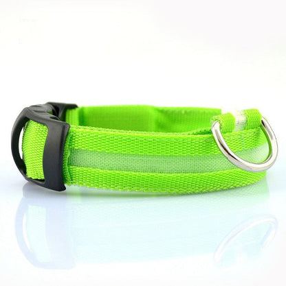 🐶 LED Safety Dog Collar – Don't Let Darkness Put Your Pet at Risk! 🌙