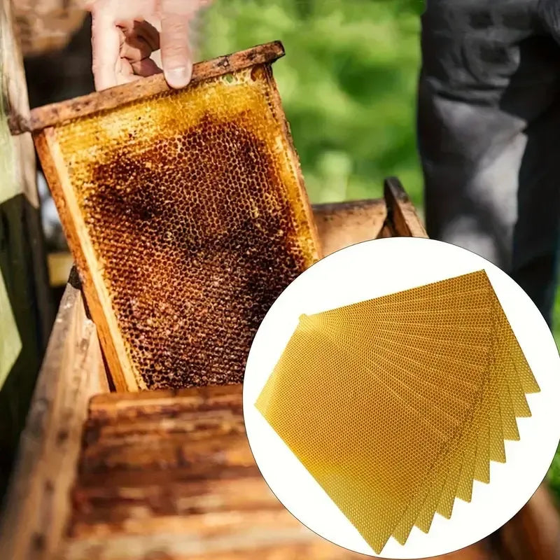 🍯🕯️ DIY Beeswax Candle Making Kit (12-Piece Set) – Create Your Own Cozy Glow!