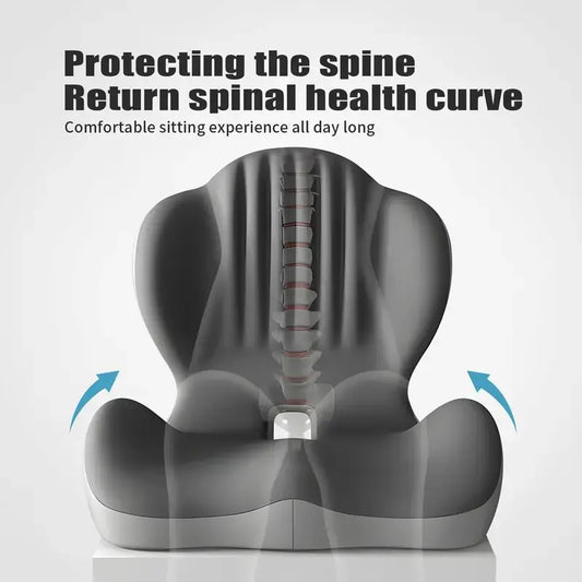 Memory Foam Lumbar Cushion for Car & Office🪑