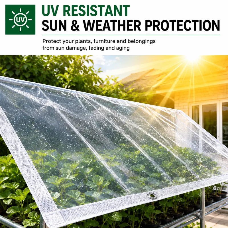 Clear Waterproof PE Tarp, Transparent Outdoor Cover with Metal Grommets🛡️