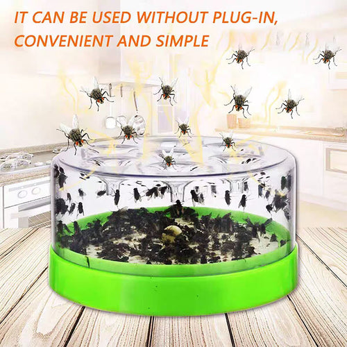 🔌✅ Reusable fly trap—no electricity, no poison! 🏠 Safe to use in the kitchen and around children and pets.