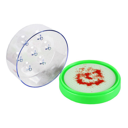 🔌✅ Reusable fly trap—no electricity, no poison! 🏠 Safe to use in the kitchen and around children and pets.
